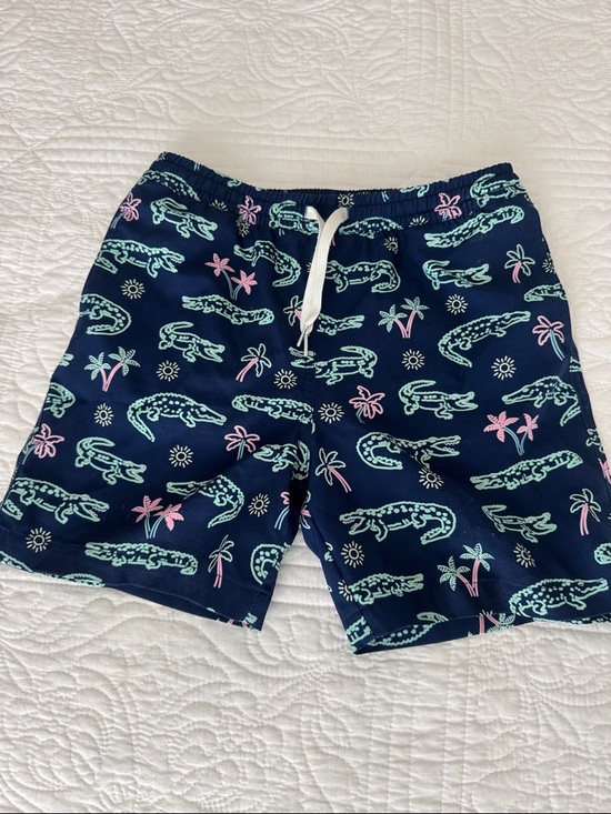 chubbies Other - Boys Chubbies Swim Trunks